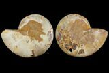 Cut & Polished, Agatized Ammonite Fossil (Pair)- Jurassic #110763-1